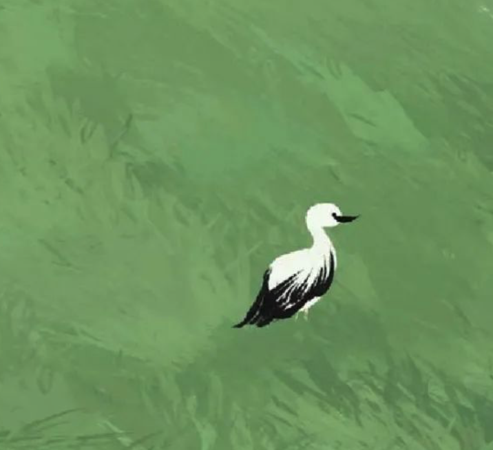 黄导：共建清洁美丽世界，中国钢铁是务实行动派